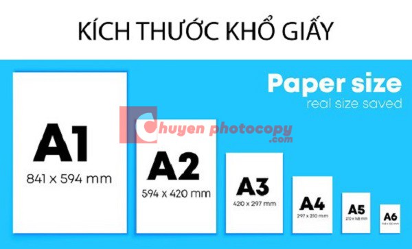 Các loại giấy phổ biến trên thị trường