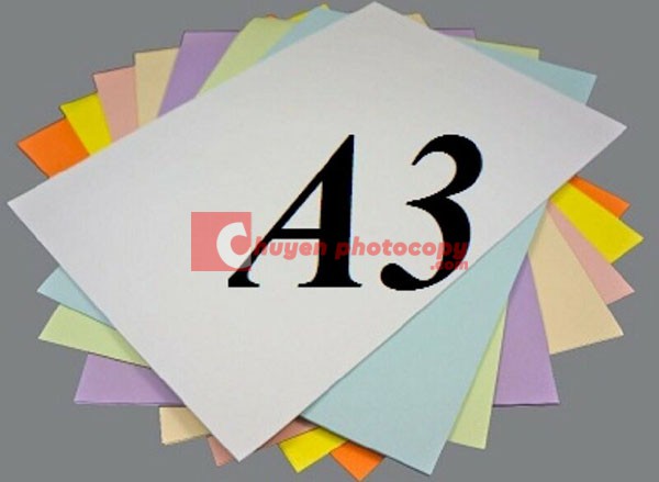 Vai trò của kích thước khổ giấy